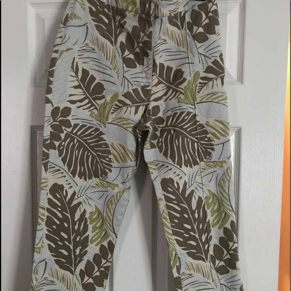 New York and company pant